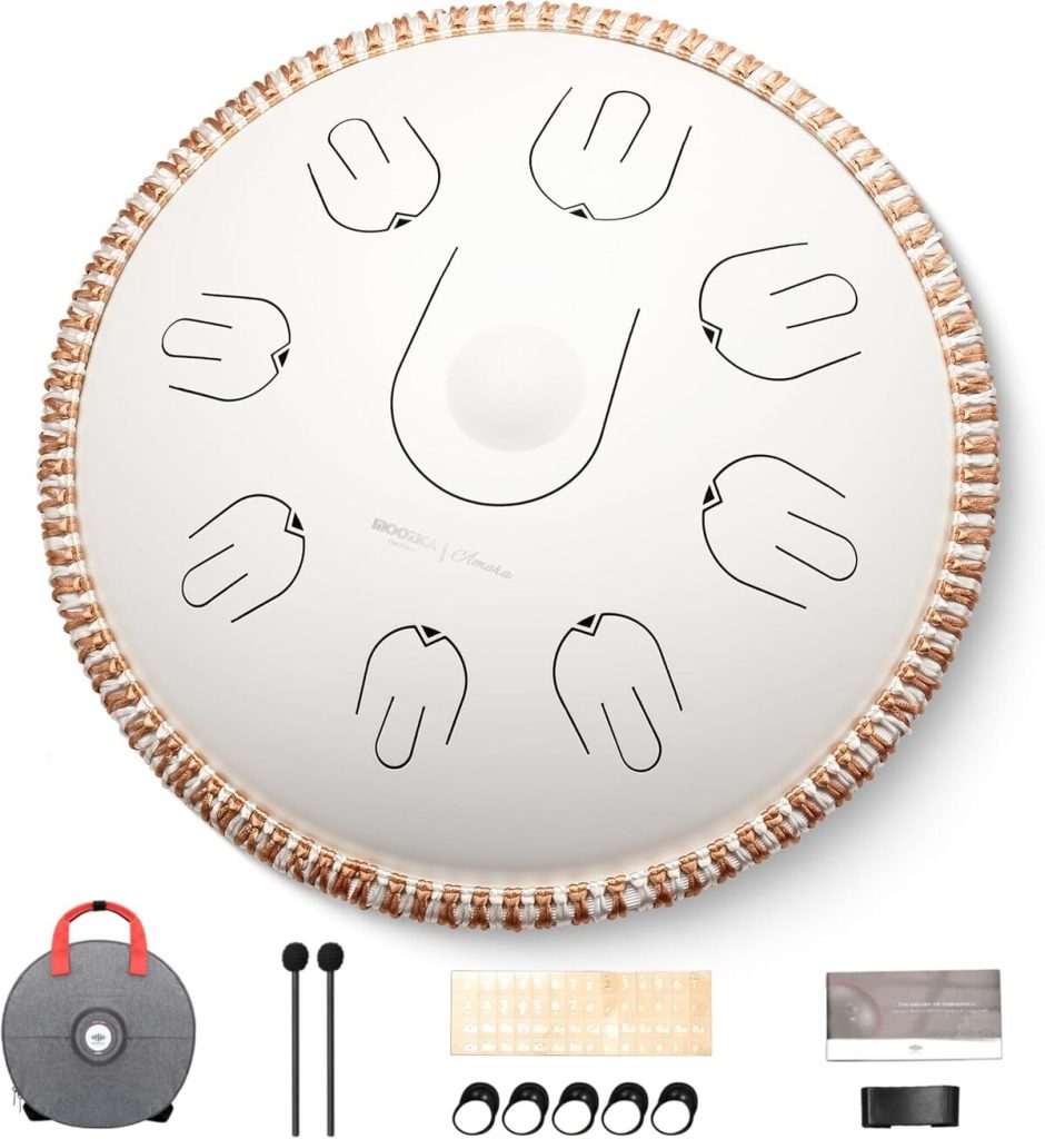 Test du steel handpan Moozica : 17 notes envoûtantes