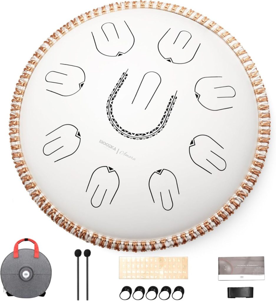 Test du steel handpan Moozica : un tambour portatif harmonieux