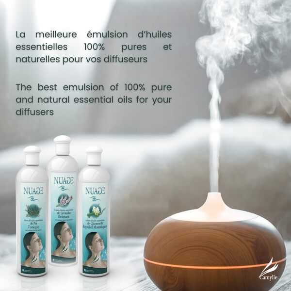 Camylle - Nuage Orient - Emulsion d'Huiles Essentielles pour Diffuseurs à Ultrasons - Positivant aux arômes chauds et boisés - 5000ml