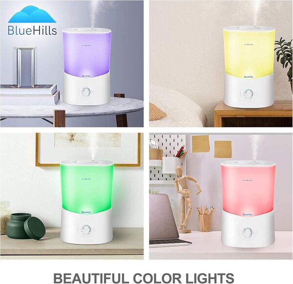 BlueHills 3L-K1 Diffuseur d'huiles essentielles 3000 ml Taille XL 3 L Grande capacité 3 L Plante Décoration d'intérieur Blanc